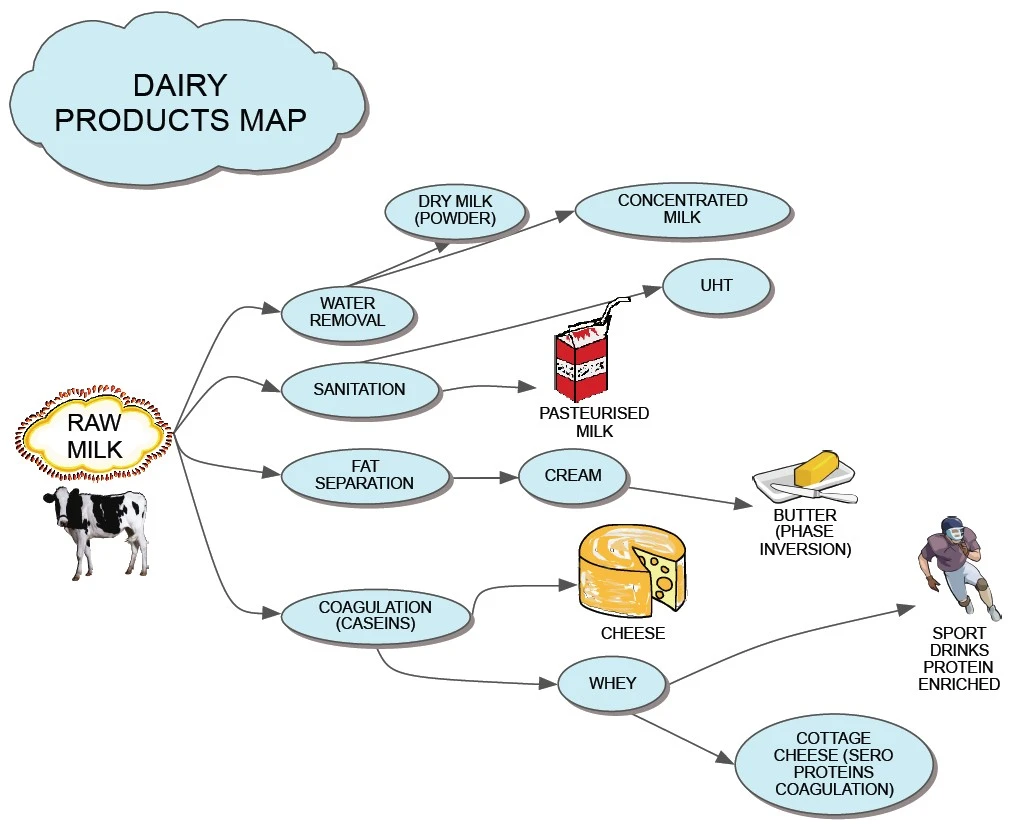 Basic dairy products obtainable from cow milk (Figure drawn by the author)